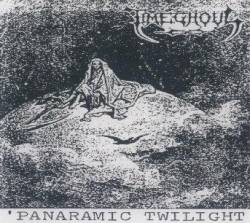 Panaramic Twilight